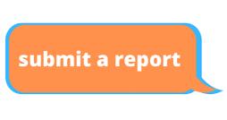 submit a report